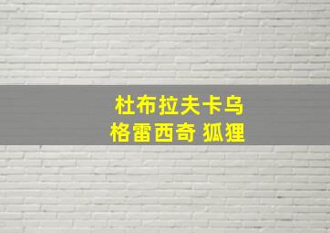 杜布拉夫卡乌格雷西奇 狐狸